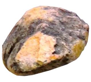 Ambre gris