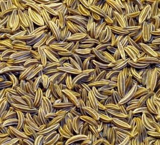Cumin