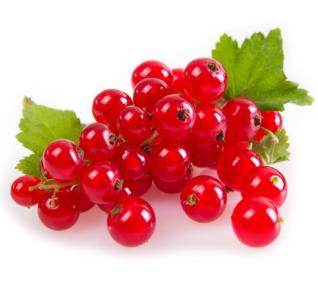 Groseille