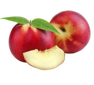 Nectarine