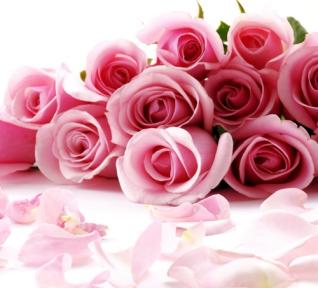 Notes Rosées