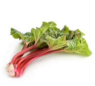Rhubarbe