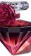 La Nuit Trésor Intense, Lancôme