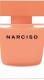Narciso Ambrée, Narciso Rodriguez
