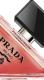 Paradoxe Intense, Prada