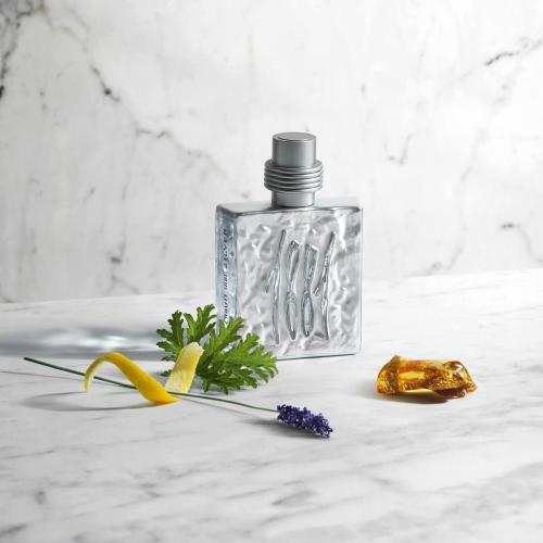 Cerruti 1881 Silver Eau de Toilette, Cerruti