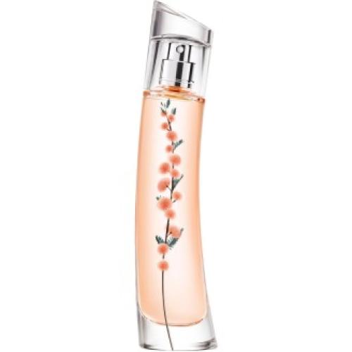 Flower Ikebana Mimosa by Kenzo, Flower Ikebana Mimosa by Kenzo, Kenzo