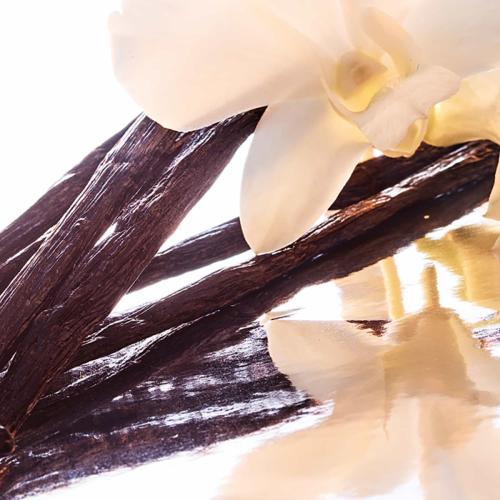 Mon Guerlain, Guerlain