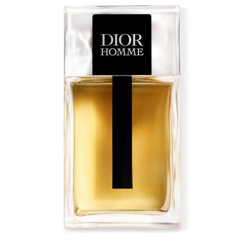 Dior Homme, Dior Homme