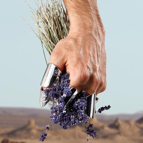 K by Dolce&Gabbana, Dolce & Gabbana