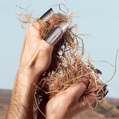 K by Dolce&Gabbana, Dolce & Gabbana