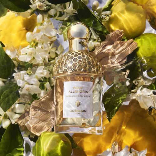 Guerlain Aqua Allegoria Bergamote Calabria Eau de Toilette, Guerlain