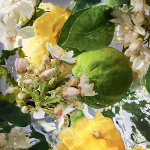 Guerlain Aqua Allegoria Bergamote Calabria Eau de Toilette, Guerlain