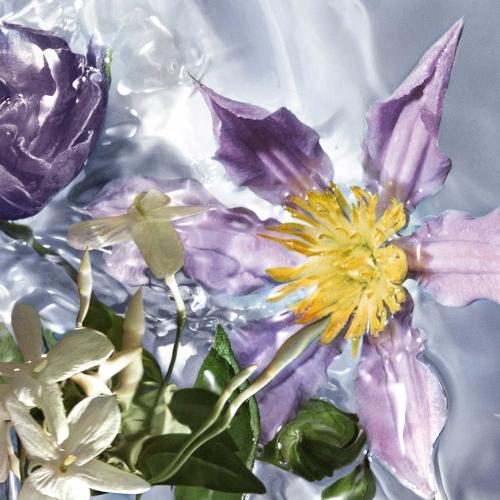 Guerlain Aqua Allegoria Flora Salvaggia Eau de Toilette, Guerlain