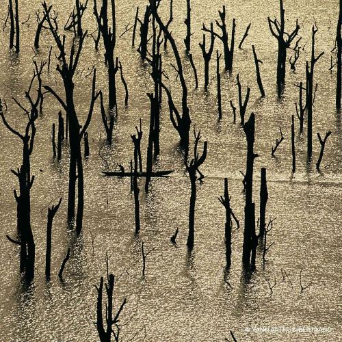 Guerlain Aqua Allegoria Forte Rossa Rossa, Guerlain