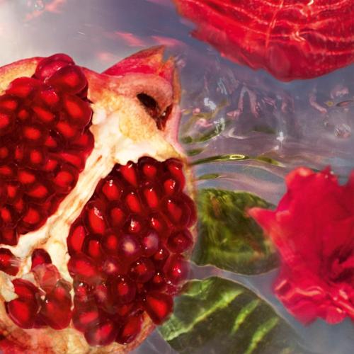 Guerlain Aqua Allegoria Granada Salvia Eau de Toilette, Guerlain