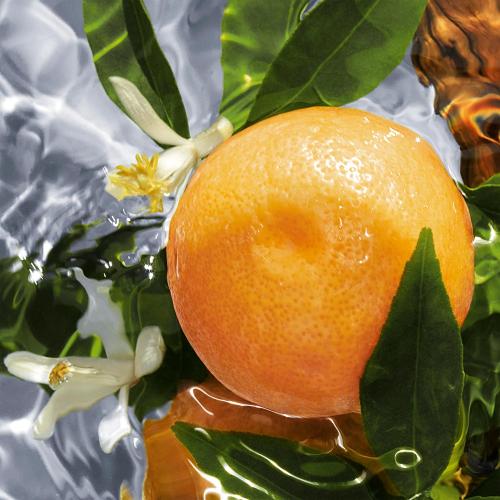 Aqua Allegoria Pamplelune, Guerlain