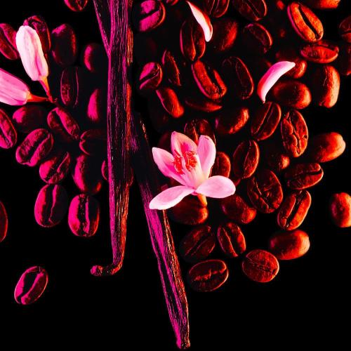 Black Opium, Yves Saint Laurent