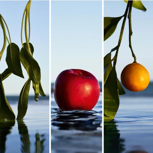 Hugo Boss Boss Bottled Infinite Eau de Parfum, Hugo Boss