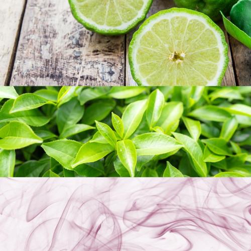 CK One, Calvin Klein