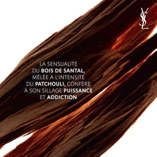 Yves Saint Laurent La Nuit de L'Homme Eau de Parfum, Yves Saint Laurent