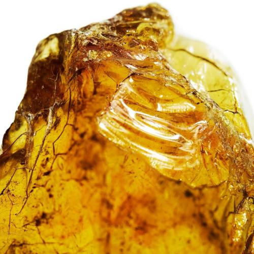 Davidoff Cool Water Eau de Toilette, Davidoff