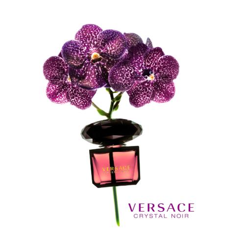 Versace Crystal Noir Eau de Toilette, Versace
