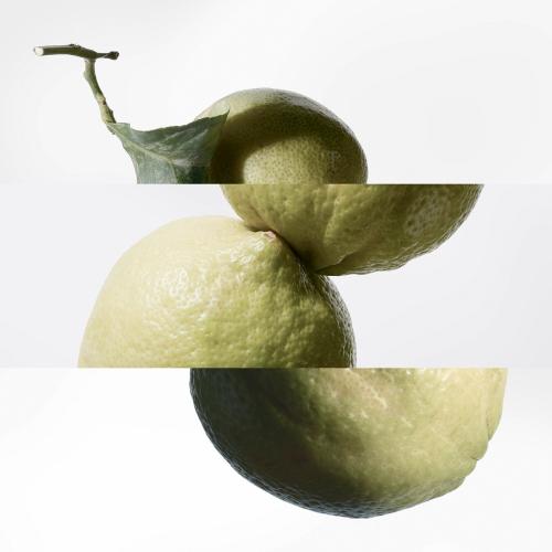 HERMÈS Eau de Basilic Pourpre Eau de Cologne, Hermès