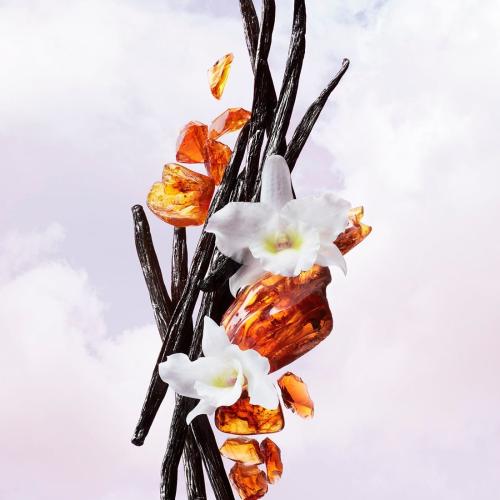 Flowerbomb, Viktor & Rolf