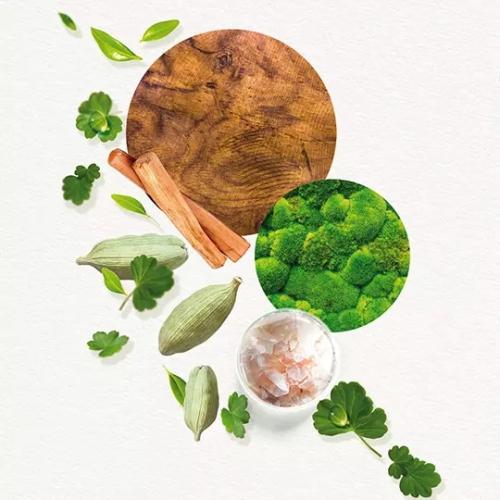 Annayake KOGAÏ for Him Eau de Toilette, Annayaké