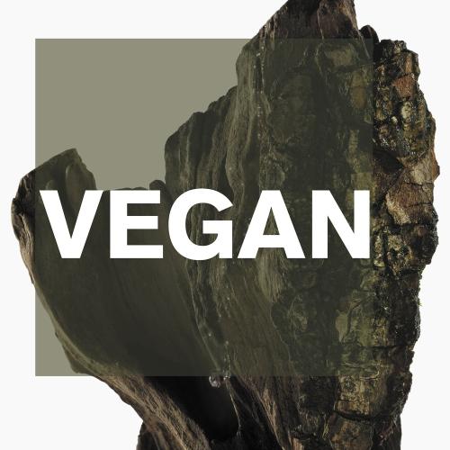 Issey Miyake L'Eau d'Issey pour Homme Eau & Cèdre, Issey Miyaké