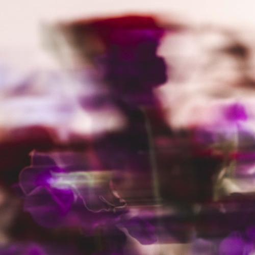 L'Eau Rêvée d'Eliya, Sisley