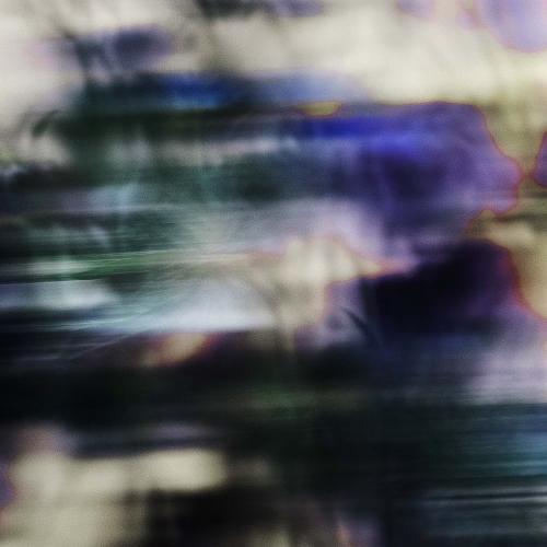 L'Eau Rêvée d'Ikar, Sisley