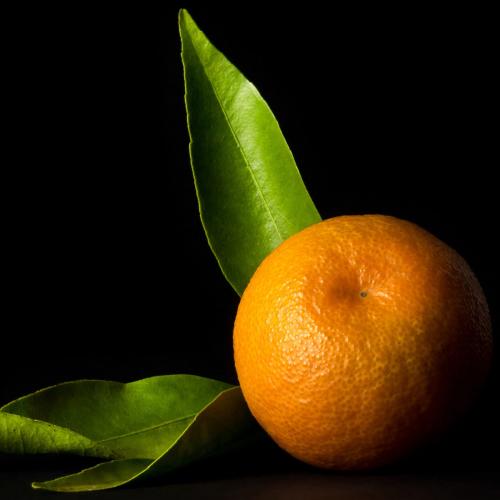 Lacoste L'Homme Lacoste Eau de Toilette, Lacoste