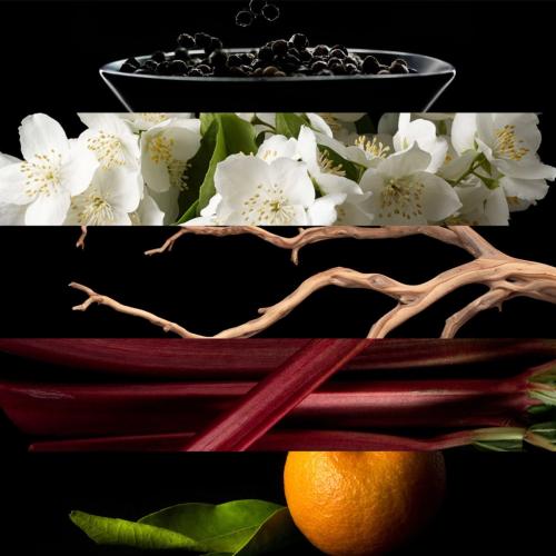 Lacoste L'Homme Lacoste Eau de Toilette, Lacoste