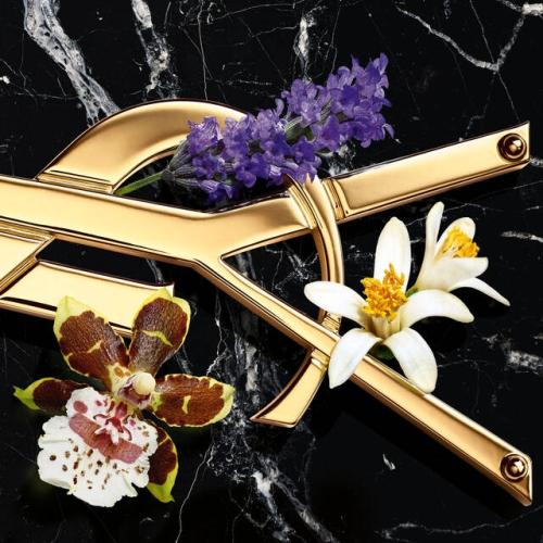 Libre, Yves Saint Laurent