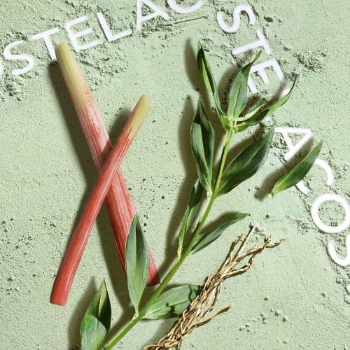 Lacoste Match Point Cologne Eau de Toilette, Lacoste