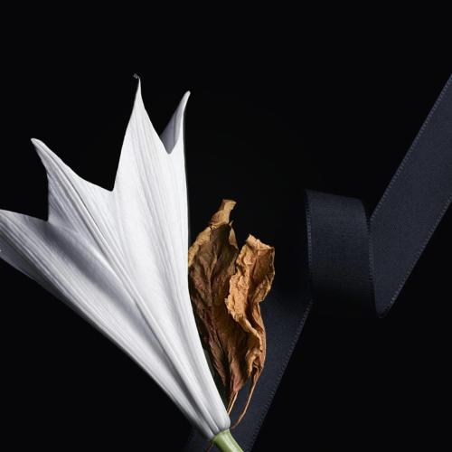 Mon Paris, Yves Saint Laurent