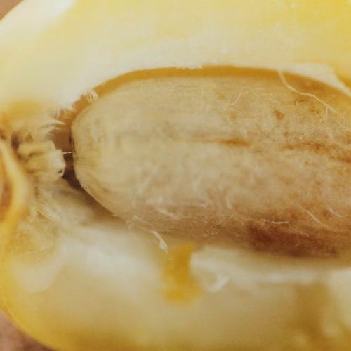 Nomade Jasmin Naturel Intense, Chloé