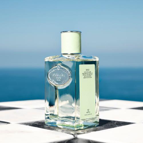 Infusion d'Iris, Prada