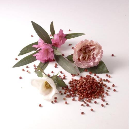 Nina Ricci Ricci Ricci Eau de Parfum, Nina Ricci