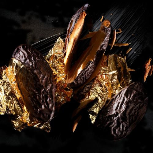 Spirit of The Brave, Diesel