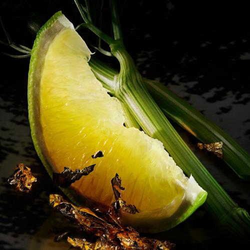 Spirit of The Brave, Diesel