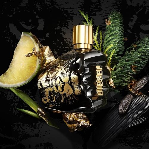 Spirit of The Brave, Diesel