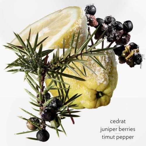 Terre d'Hermès Eau Givrée, Hermès