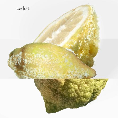 Terre d'Hermès Eau Givrée, Hermès