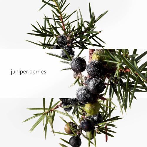 Terre d'Hermès Eau Givrée, Hermès