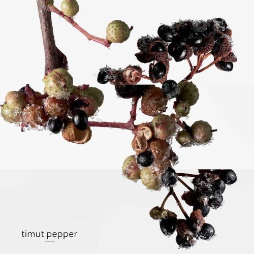 Terre d'Hermès Eau Givrée, Hermès