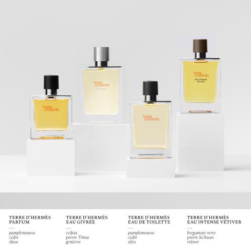 Terre d'Hermès Eau Givrée, Hermès