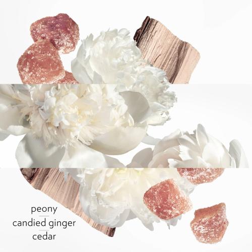 Twilly d'Hermès Eau Ginger, Hermès